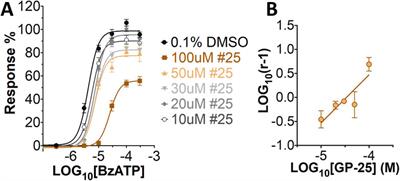 Identification of a novel P2X7 antagonist using <mark class="highlighted">structure-based virtual screening</mark>